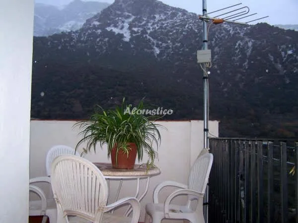 CASA DE ABAJO en TREVÉLEZ — miniatura 11