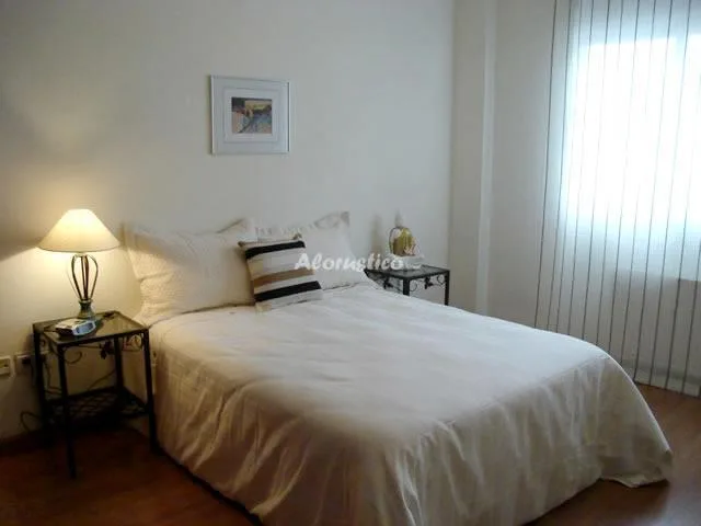 APARTAMENTO SAN JUAN DE LETRÁN II en GRANADA — miniatura 4