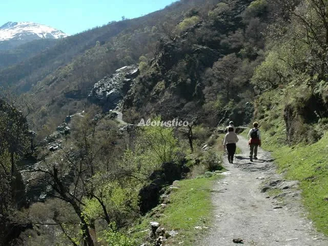 PISO PORTAL DE GÜEJAR SIERRA en GÜEJAR SIERRA — miniatura 12
