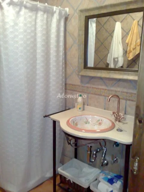 CASA PRÍNCIPE en PAMPANEIRA — foto 3