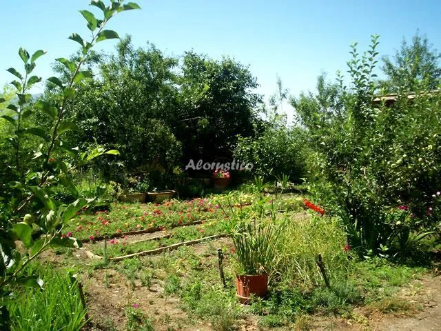 CASA EL CABALLO en LANJARÓN — foto 2