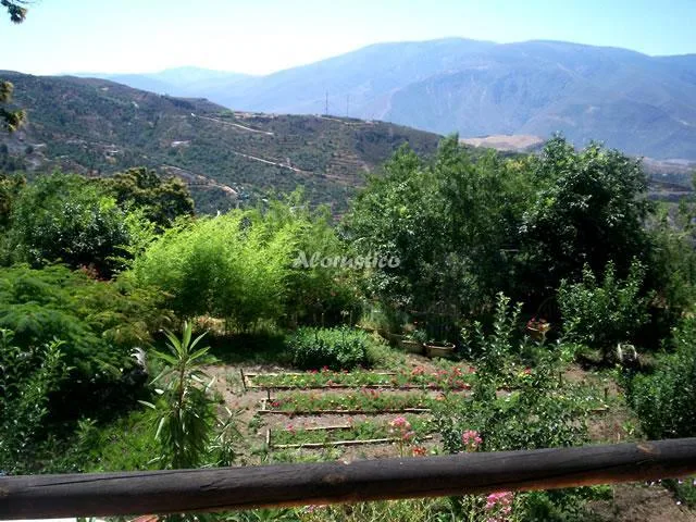 CASA EL CABALLO en LANJARÓN — miniatura 18