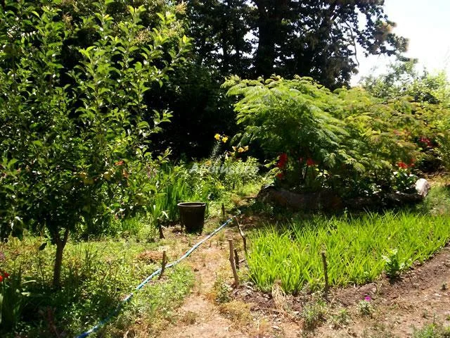 CASA EL CABALLO en LANJARÓN — foto 3