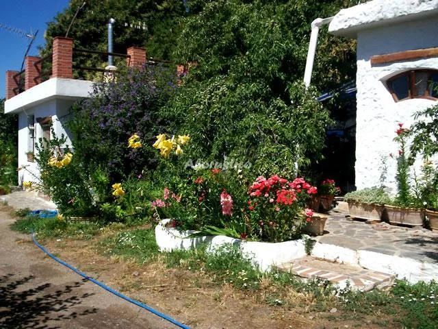 CASA EL CABALLO en LANJARÓN — miniatura 11