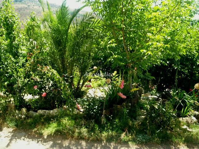 CASA EL CABALLO en LANJARÓN — miniatura 19