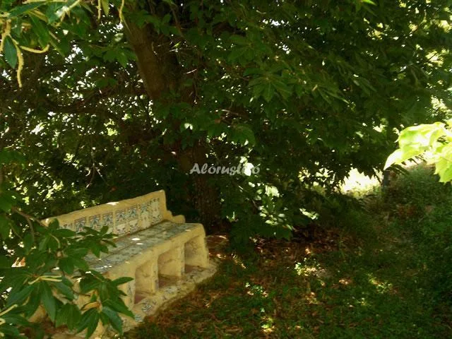 CASA EL CABALLO en LANJARÓN — miniatura 24