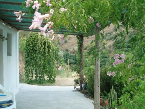 LA CASITA DEL SOL en ALMUÑÉCAR — foto 3