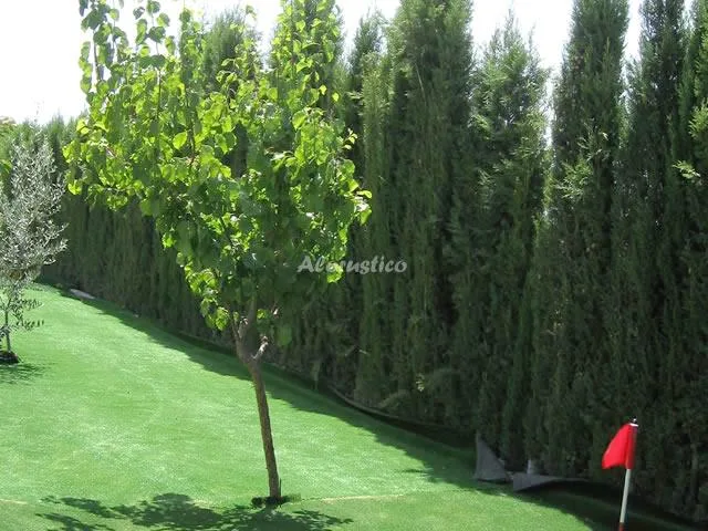 APARTAMENTO TREVENQUE en PADUL — miniatura 14