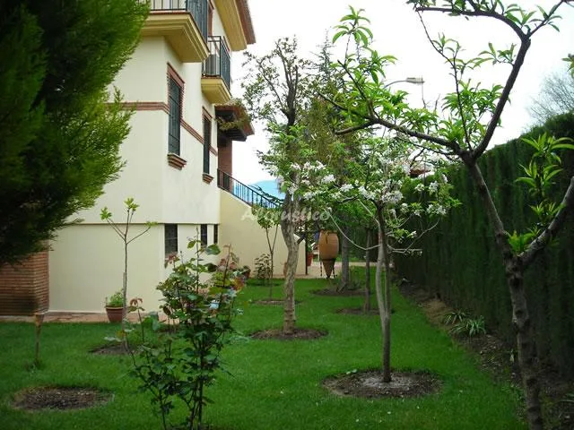 VILLA EL ÁNFORA en CÚLLAR VEGA — miniatura 8