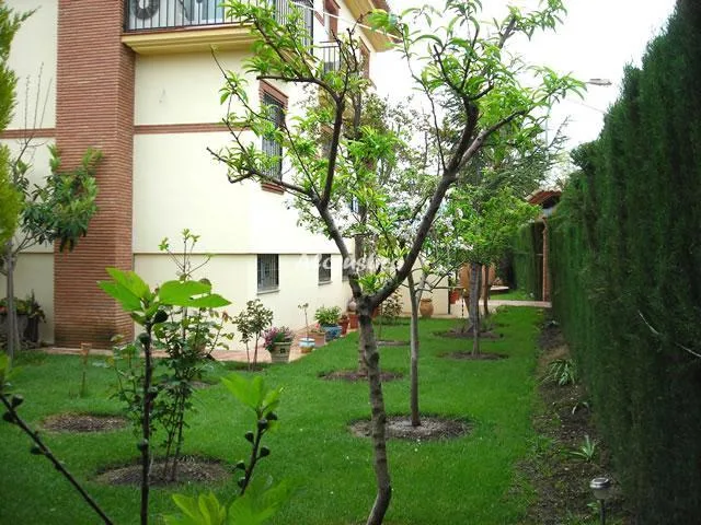 VILLA EL ÁNFORA en CÚLLAR VEGA — miniatura 14