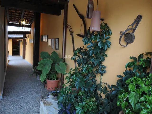 ENTREOLIVOS en CHAUCHINA — foto 2