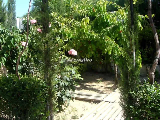 ENTREOLIVOS en CHAUCHINA — miniatura 20