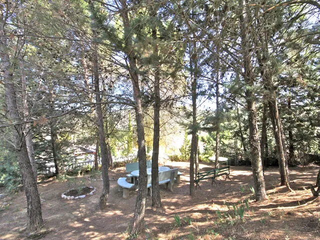 CASA CAROLINA en MOCLÍN — foto 2