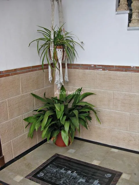APARTAMENTOS LAHEZA - LAS CORZAS en DÍLAR — miniatura 6