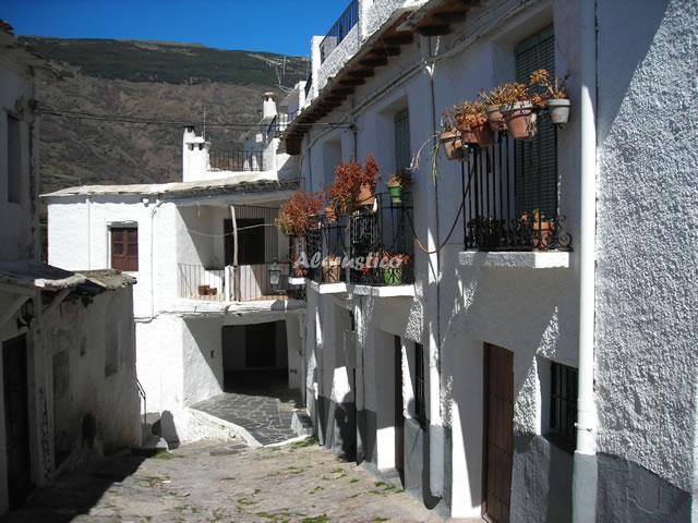 Alojamiento turístico CORTIJO LAS MERGUILLAS en CAPILEIRA, GRANADA