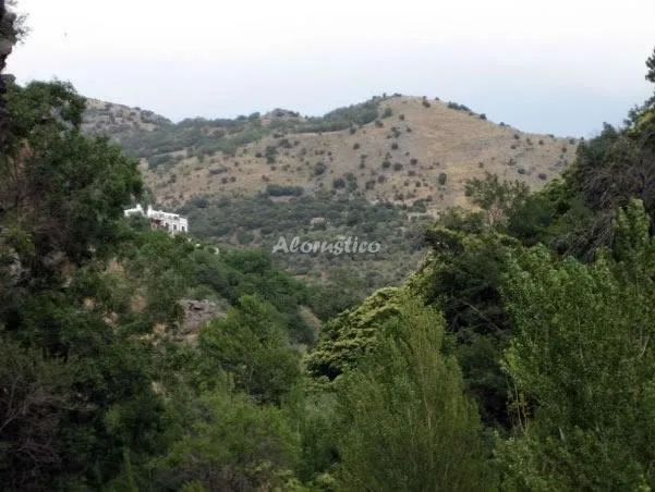 EL CORTIJILLO en GÜEJAR SIERRA — miniatura 6