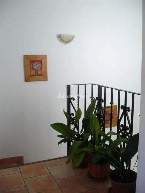 EL PORTON DEL ALBAICIN- solo para pruiebas en GRANADA — miniatura 21