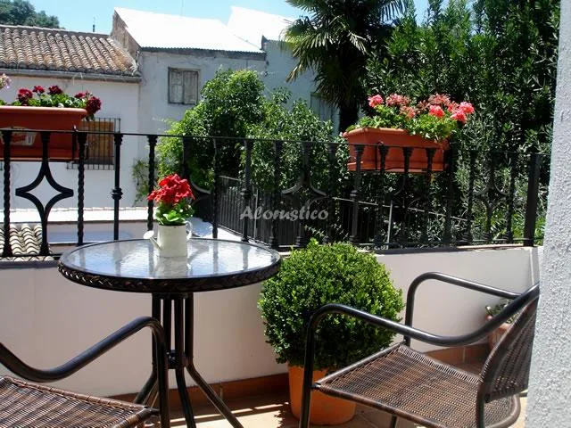 EL PORTON DEL ALBAICIN- solo para pruiebas en GRANADA — miniatura 16