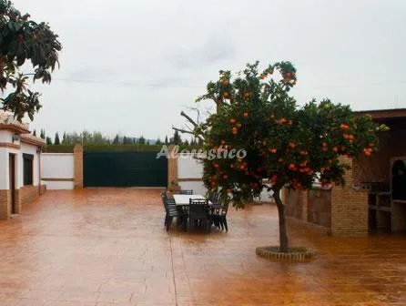 CORTIJO LA HIJUELA en LA ZUBIA — miniatura 11
