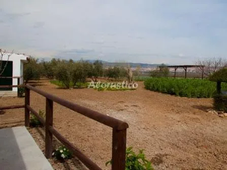 CORTIJO LA HIJUELA en LA ZUBIA — miniatura 12