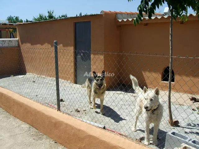 CORTIJO LOS MACHOTES en MORALEDA DE ZAFAYONA — miniatura 23