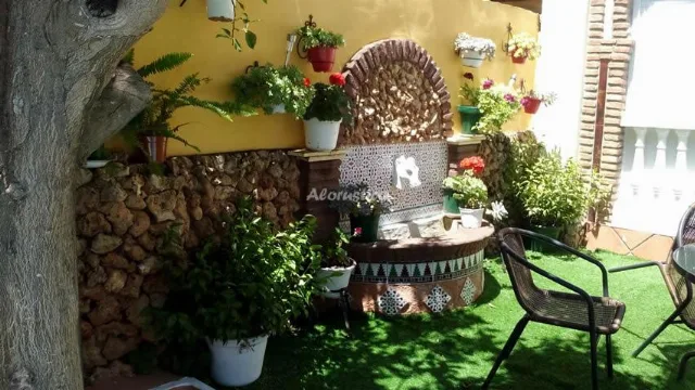 EL RINCÓN DE ANTONIO E ISABEL en DURCAL — miniatura 27
