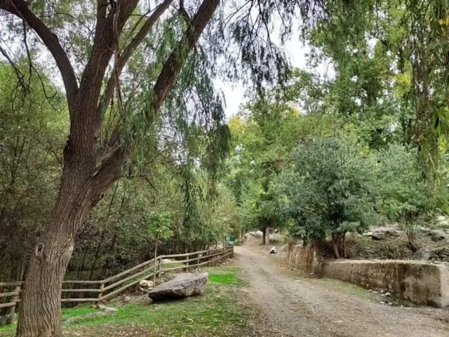 CASA CANALES ARRIBA en CÁDIAR — miniatura 14