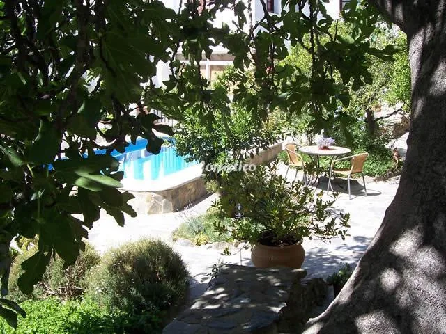 CASA JAZMÍN--HABITACIÓN ALPUJARREÑA en ÓRGIVA — foto 2