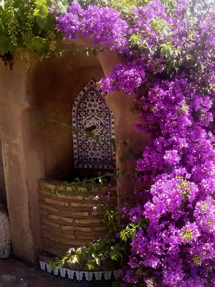 CASA MARROJO en LOJA — miniatura 22