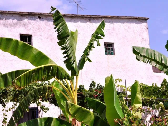 FINCA CORTIJO TEJA en ALBUÑOL — miniatura 19