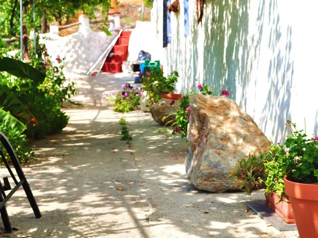 FINCA CORTIJO TEJA en ALBUÑOL — miniatura 6