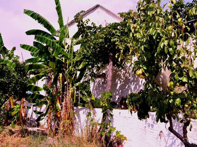 FINCA CORTIJO TEJA en ALBUÑOL — miniatura 27