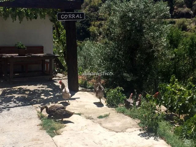 CORTIJO LA SOLANA - CASA Nº 3 en GÜEJAR SIERRA — miniatura 7
