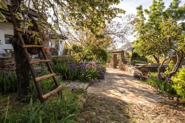 CASA DE LA ROCA en PITRES — miniatura 16
