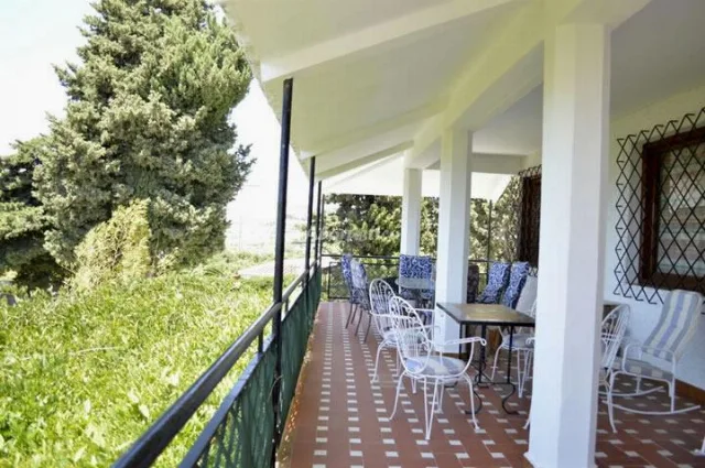 CORTIJO ARAUCARIA en MOTRIL — miniatura 5