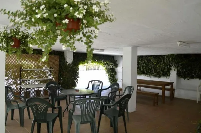 CORTIJO ARAUCARIA en MOTRIL — miniatura 4