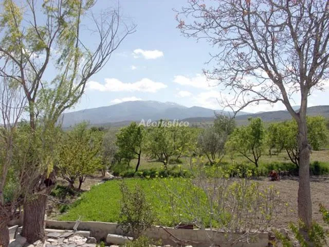 CORTIJO EL ABUELO COMPLETO (CASA ABAJO Y CASA ARRIBA) en BAZA — miniatura 25