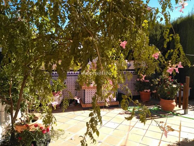 RURAL DE LA REINA en LA ZUBIA — foto 3