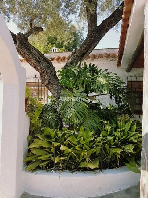 CORTIJO LALO en ÓRGIVA — miniatura 29