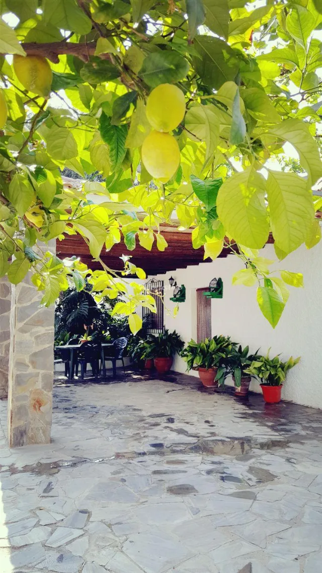 CORTIJO LALO en ÓRGIVA — miniatura 20