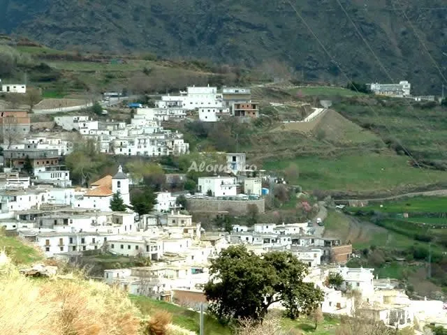 CORTIJO LOS ALACRANES en BUSQUISTAR — miniatura 6
