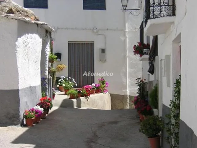 CASA MAMICA ROSARIO en YEGEN ALPUJARRA DE LA SIERRA — miniatura 17