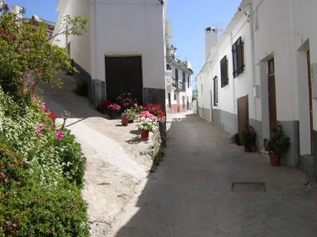 CASA MAMICA ROSARIO en YEGEN ALPUJARRA DE LA SIERRA — miniatura 23