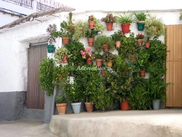 CASA MAMICA ROSARIO en YEGEN ALPUJARRA DE LA SIERRA — miniatura 16
