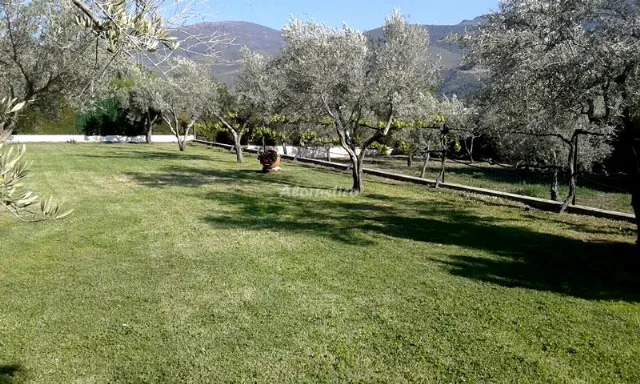 ALOJAMIENTO LOS OLIVOS en ÓRGIVA — miniatura 28