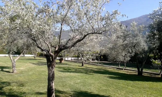 ALOJAMIENTO LOS OLIVOS en ÓRGIVA — miniatura 35