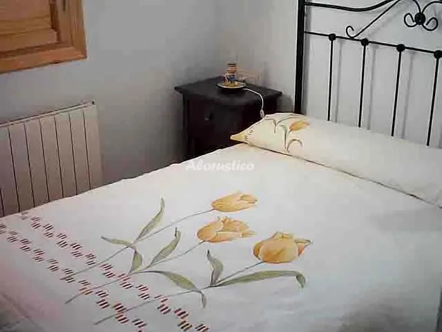 CASA EL OLIVO en CASTARAS — miniatura 14