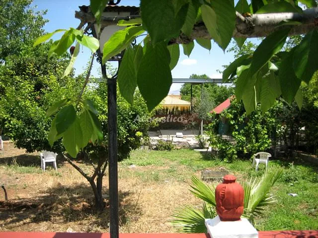 LAS MIMBRES CASA GRANDE en MORALEDA DE ZAFAYONA — miniatura 5