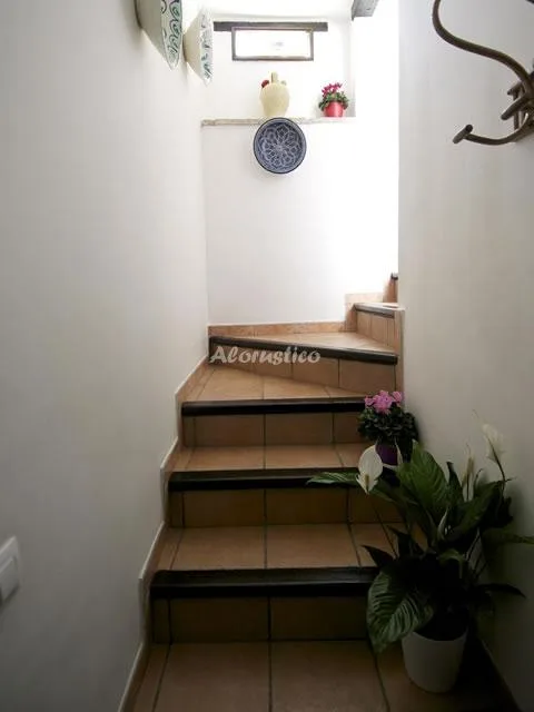 APARTAMENTO MIRADOR en GRANADA — miniatura 10