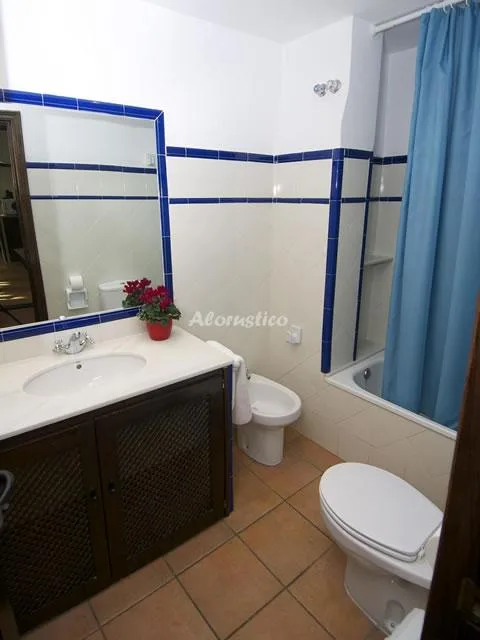 APARTAMENTO ALBARIZA en GRANADA — miniatura 8